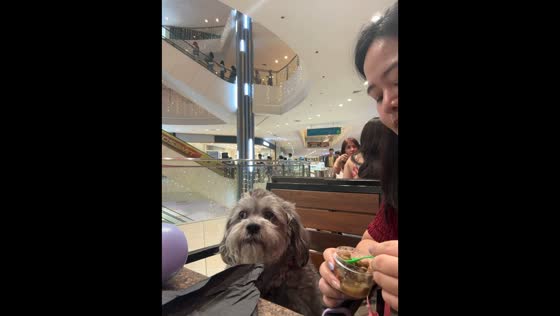 Owner gently feeds dog in Quezon City, Philippines