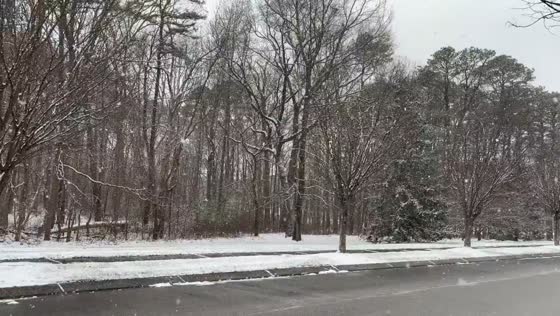 Light snowfall reduces visibility in Severn, Maryland, USA