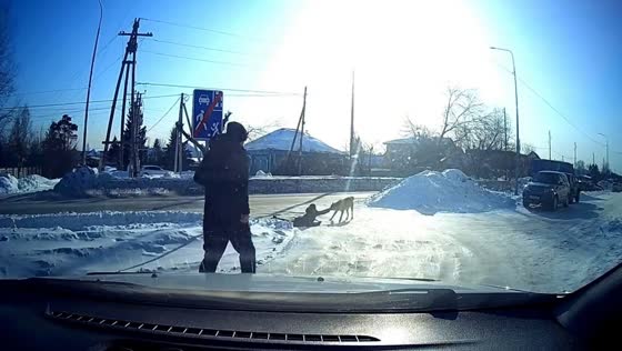 Passerby rescues child from dog attack in Tyumen, Russia
