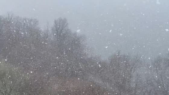 Spring snowfall blankets Fresh Pond in Cambridge, Massachusetts, USA