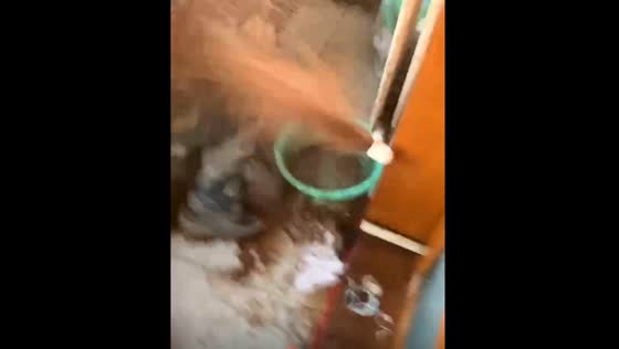 Dirty water gushes out during pipe repair in Liaoning