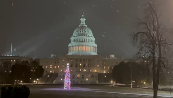 Christmas tree glows amid steady snowfall in Washington, D.C., USA