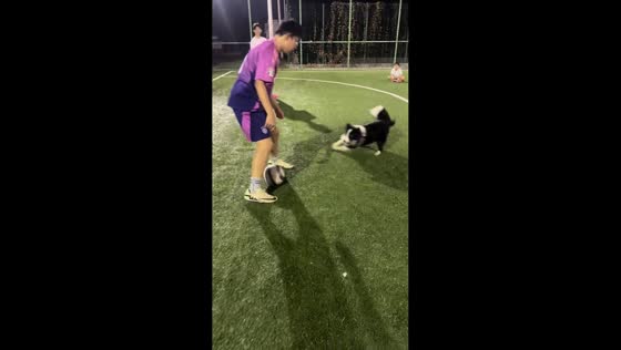 Dog steals ball from man during game in Shandong, China