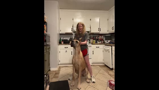 Dog gets zoomies after ear wiggles in Huntsville, Alabama