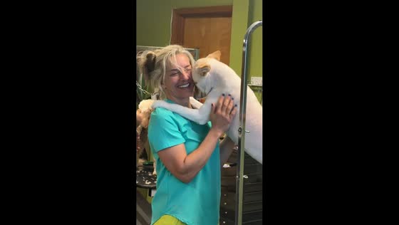 Grooming session turns into cuddle time in Springfield, USA