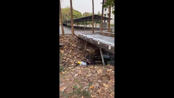 Man falls into muddy water after failed bicycle trick in Chiang Mai, Thailand