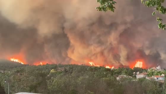 Wildfires fueled by vineyard loss in Durban-Corbieres, France