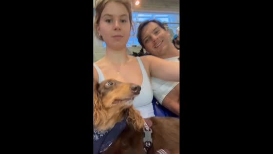 Dachshund eagerly eats hot dog during baseball game in Miami, Florida, USA