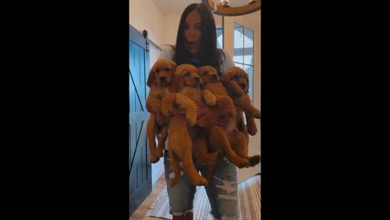 Rexburg resident brings home extra puppies