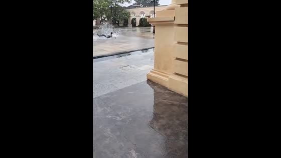 Rainy run mishap in San Cristobal de las Casas