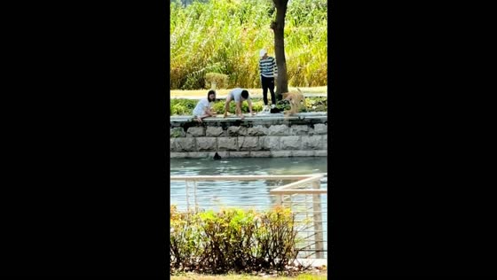 Passerby helps rescue a dog from a river in Jiangsu, China
