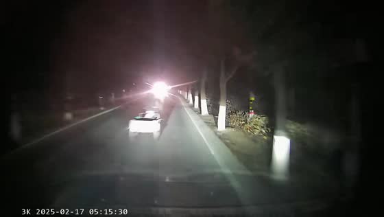 Dashcam captures near accident with person in Zhejiang, China