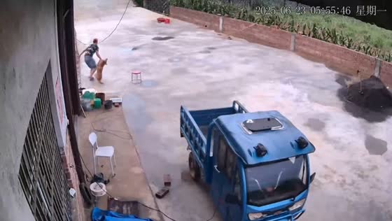 Man steals dog in broad daylight in Guangxi, China