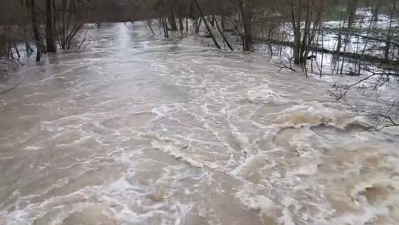 Bega River swells: Lemgo's powerful floodwaters