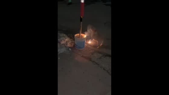 Dog hilariously reacts to small firecrackers in Beijing, China