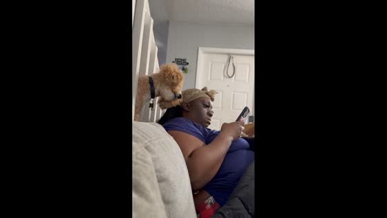 Nosy dog watches woman’s phone screen in Florida, USA