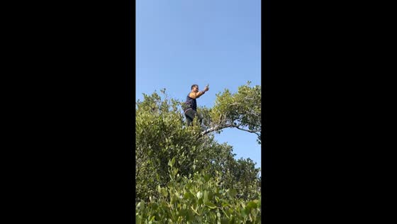 Man falls into river while filming on mangrove trees in Tainan, Taiwan