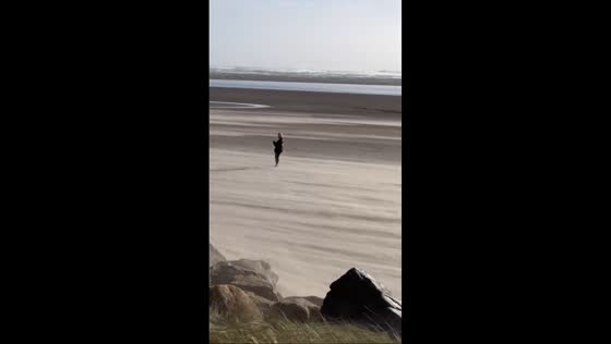 Storm Eowyn brings hurricane-force winds causing disruption in Dublin, Ireland