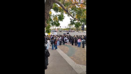 Student-led immigration protest marches through Chandler streets in Arizona, USA