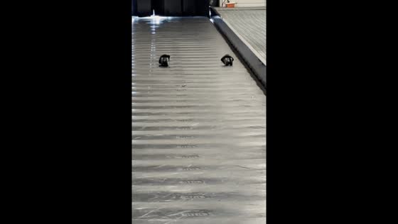 Wheels without suitcase spotted on baggage carousel in Pasay