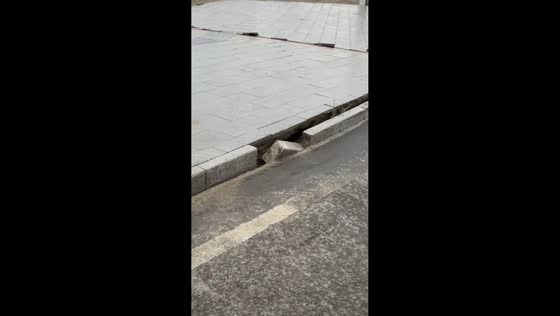 Road and gutter crack after earthquake shakes Qinghai, China