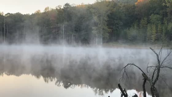 Mist drifts over a pond on a cool autumn morning in Ferndale, Arkansas, USA
