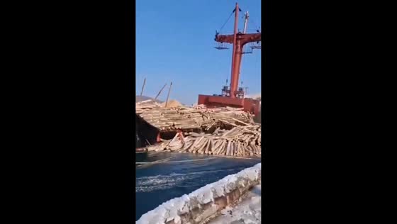 Cargo ship tilts, spilling thousands of logs into the sea in Primorsky, Russia