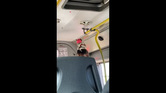 Cat calmly sits on man's head inside a bus in Buenos Aires, Argentina