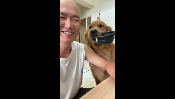 Hungry dog asking food from owner in Jilin, China