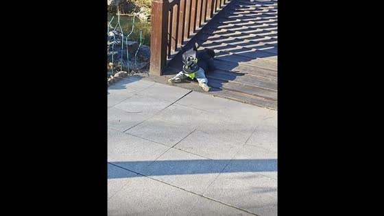 Child falls while riding toy in Hebei, China