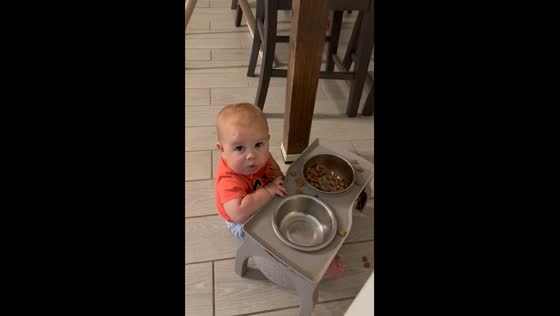 10-Month-old baby caught eating dog food in Queen Creek, Arizona