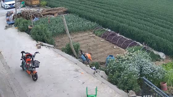 Child falls from toy in Henan, China