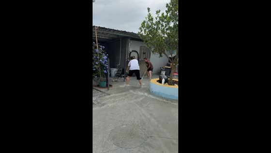 Dogs watch flooded backyard after inflatable pool deflates in Guangdong, China