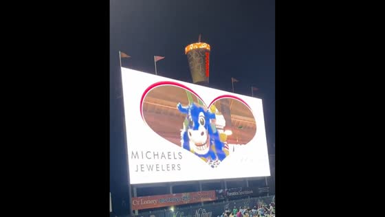 Mascots spoof viral CEO-HR kiss cam moment at Dunkin’ Park in Hartford, Connecticut, USA
