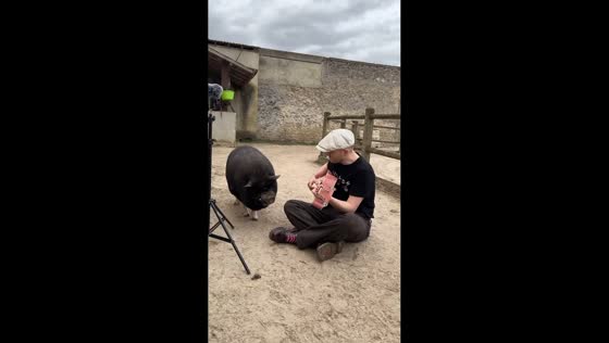 Man sings and plays guitar as farm animals enjoy the music in Rambouillet, France