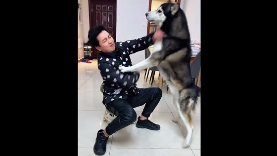 Dog defends food meant for it from person pretending to steal it