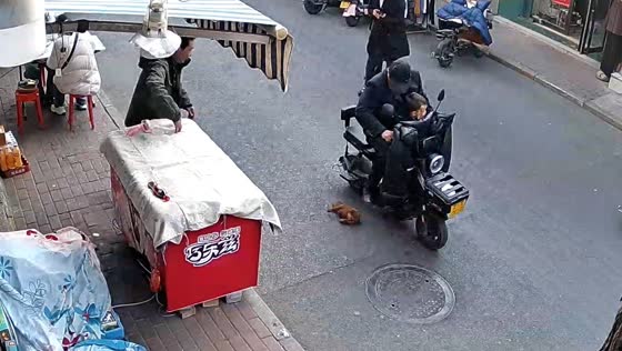 Puppy nearly hit by motorcycle in Henan, China