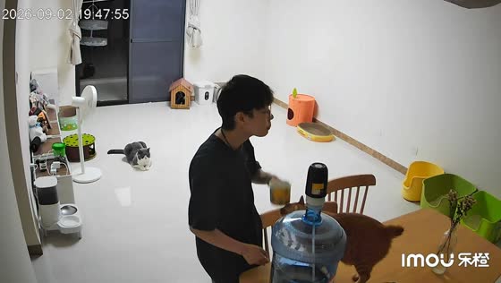 Man accidentally bumps cup on cat's head in Guangxi, China