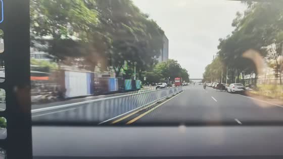 Two bulls block roadway during unusual encounter in Fujian, China