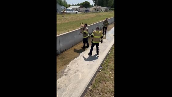 Fire department rescues deer fawn and reunites it with mother in Rapid City, South Dakota
