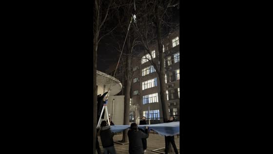 Kitten rescued after two days stuck in tree in Shandong, China