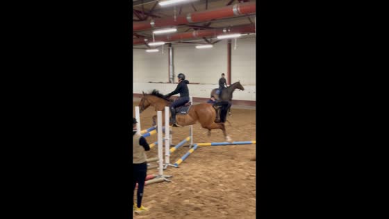 Horse trips and falls during training session in Mora, Sweden