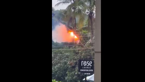 Coconut tree damaged by electric line contact in Malappuram, Kerala