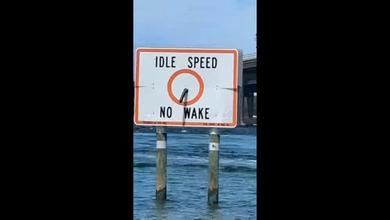 Funny sign spotted at sea in Destin, Florida, USA