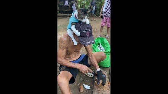 Clingy cat refuses to let go while owner works in Nabunturan, Davao de Oro, Philippines