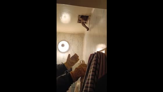 Rescued: Kilka emerges from Moscow ventilation
