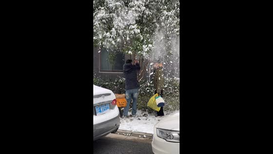 Child startled by falling snow during playful tree shake in Anhui, China