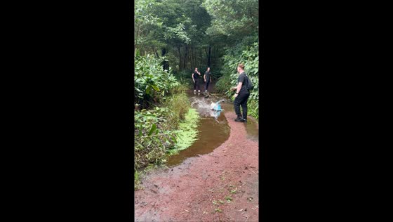 Man’s bag of towels falls into muddy puddle in Barcelona, Spain