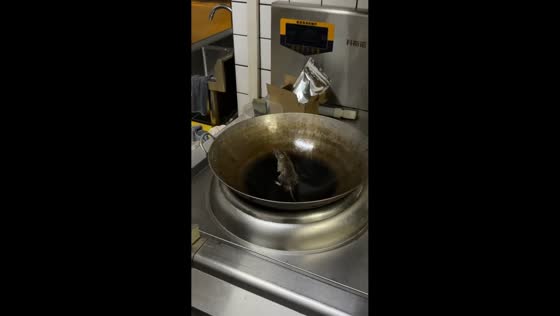 Mouse struggles to escape slippery wok in Jilin, China