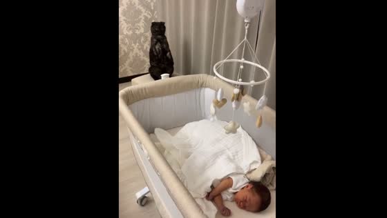 Cat reacts to newborn baby’s arrival at home in Penza, Russia